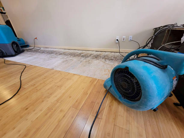 Professional Flood Damage Cleanup technician working in Como, WI